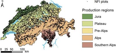 From Paris to Switzerland: Four Pathways to a Forest Reference Level